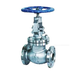 Globe Valve